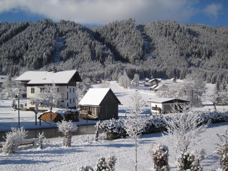 Ferienwohnung Vierthaler โกเซา ภายนอก รูปภาพ