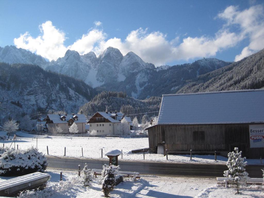 Ferienwohnung Vierthaler โกเซา ภายนอก รูปภาพ